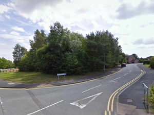 Supporting image for story: Woman bitten during attack by two Staffordshire bull terriers in Telford