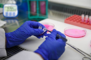 Scientists at Nature’s SAFE lab processing a skin sample ©Nature’s SAFE