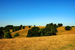 The Sheepwalks Hilll, Enville