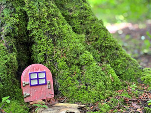 Supporting image for story: Trust sprinkles fairy dust around its country estate