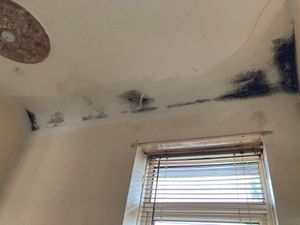 Mould in Kevin Smith's Stourbridge home. Picture Martyn Smith/LDRS free for LDRS use