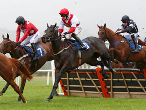 Supporting image for story: New season under way at Ludlow Racecourse