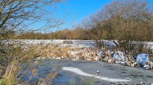 Snow and ice in Oswestry. Photo: Jenna Parry 