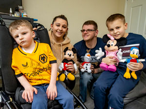Supporting image for story: Brave little Wolves fan whose video went viral sets his heart on Disneyland visit