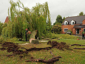 Supporting image for story: Chaos in village after mini-tornado