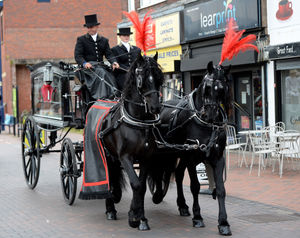 The horse drawn hearse