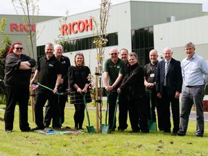 Supporting image for story: 'Local hero' employees plant trees in Telford as part of Queen's canopy