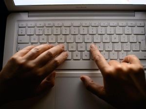 Supporting image for story: Virtual internships offered to help next generation gain job skills