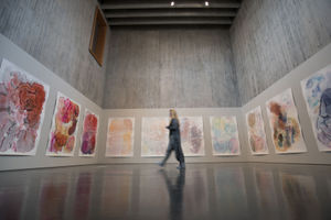 A visitor walks past artist Barbara Nicholls' watercolour piece 'sedmientary flow' at the New Walsall Art Gallery in August 2017