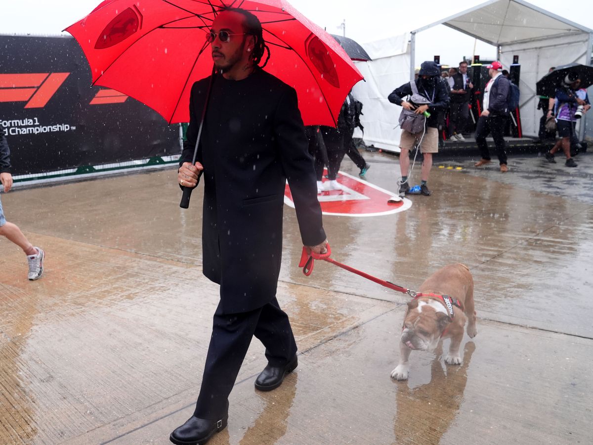 Lewis Hamilton&rsquo;s bulldog Roscoe dies