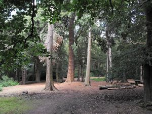 Supporting image for story: Fire at Shropshire country park brought under control