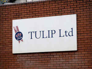 Supporting image for story: MP and union bosses call for talks over Tulip pork factory closure plans