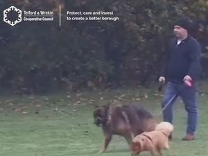 Supporting image for story: £50 reward offered in appeal to track down Telford dog walker who failed to pick up pooch's mess