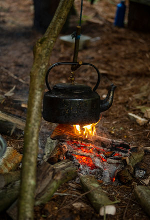 Join us for a cuppa at the Woodland camp cafe