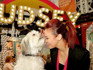 Supporting image for story