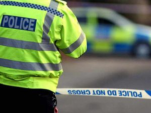 Supporting image for story: Would you support a reduction in the drink-drive limit?