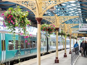 Supporting image for story: Month-long disruption set for Wellington train station as buildings get a little 'TLC'