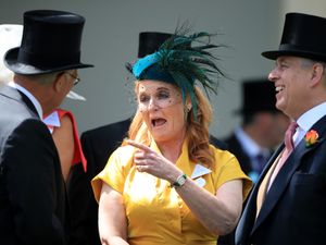 Supporting image for story: Epstein ‘wanted Sarah Ferguson to release statement saying he wasn’t a pedo’