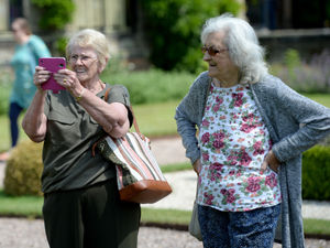 Photographing the scarecrows display