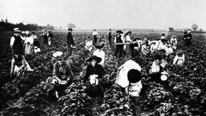 Backbreaking toil for these "Shroppies"