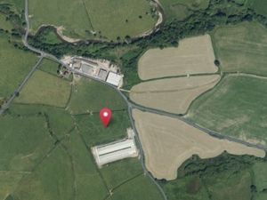 Supporting image for story: Chicken Farm near Llandrindod Wells wants to increase capacity by 104,000