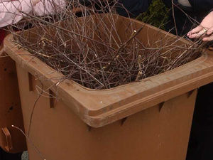 Supporting image for story: Keep your bins in to stop them being used for bonfires - police