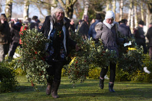 Supporting image for story: It's healthy under the mistletoe as all eyes turn to Tenbury Wells - pictures
