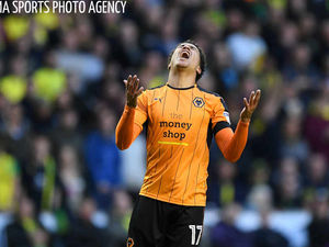 Supporting image for story: Wolves 1 Norwich 2 - Report and pictures