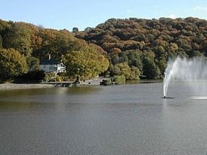 Supporting image for story: Toxic blue-green algae found at Powys lake - leading to a warning for users