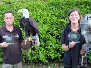 Supporting image for story: Rapturous praise as falconry centre wins top hospitality award