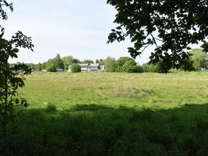 Supporting image for story: Not long now... These green fields in Telford have seen generations of sporting glory and triumphs, but mostly just carefree play. But soon they will be covered with housing, bringing down the final curtain on the site of the old Phoenix School in Dawley.