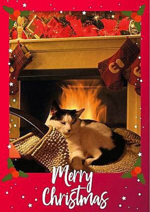 Jeremy Corbyn’s card features his cat, El Gato