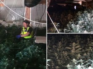Supporting image for story: £1m cannabis factory busted at former Tipton Conservative Club
