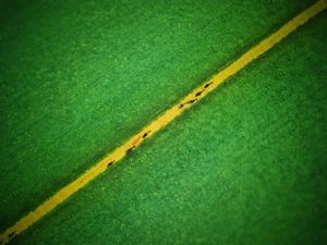 Supporting image for story: Stunning image captured by photographer