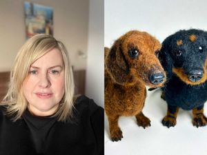 Supporting image for story: Needle felt artist brings comfort to pet owners with woollen sculptures