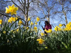 Supporting image for story: Temperatures set to reach 18C this week as meteorological spring begins