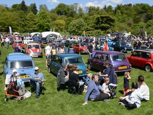 Supporting image for story: GALLERY: Mini day revs up crowd at Himley Hall 