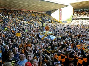Supporting image for story: Wolves promotion is region boost